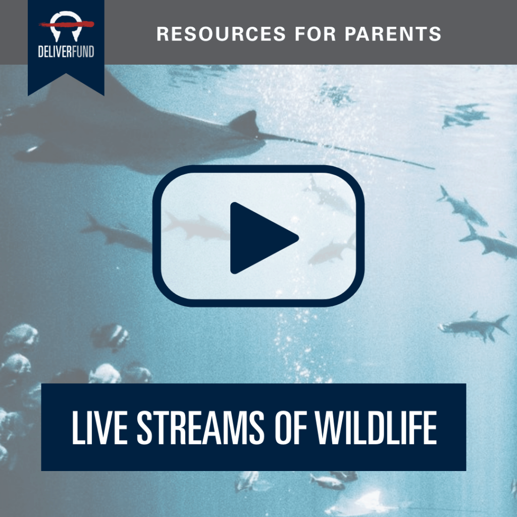 resources-for-parents-livestream