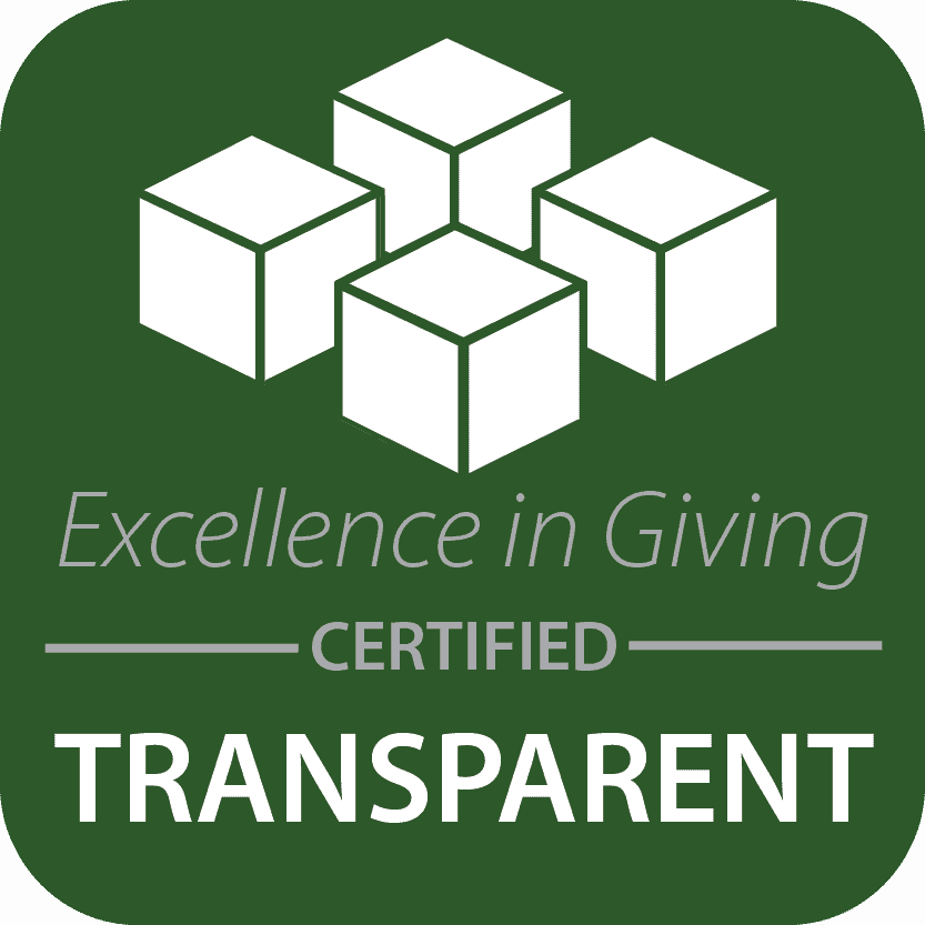 Excellence in Giving logo